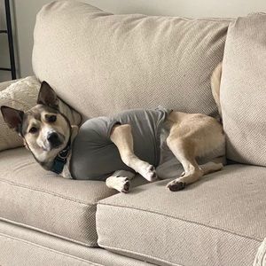 Meet your Posher, Sam